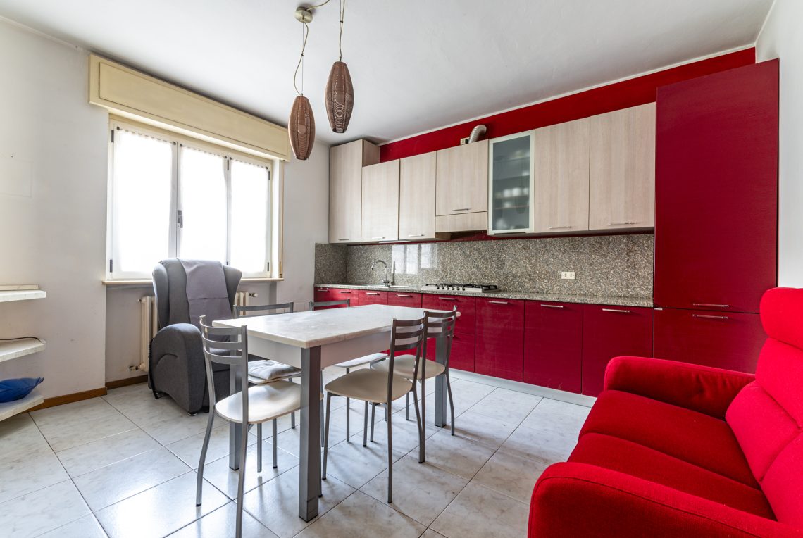 ALBINO